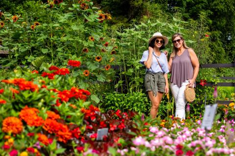 bright red flowers are in the forefront of the image with two women in casual summer clothes near tall sunflowers