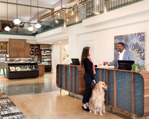 Dog checking into Hotel Indigo