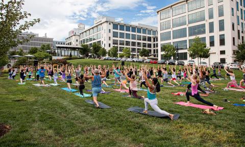 Yoga in Bailey Park