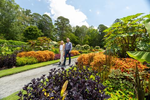 Fall in Reynolda Gardens