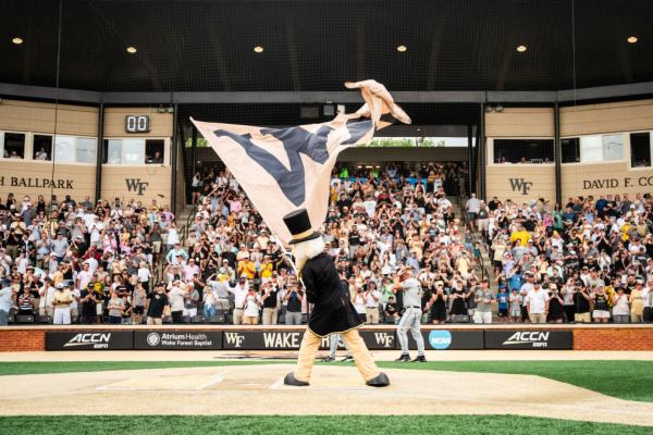 Wake Forest Baseball vs. Pitt Photo