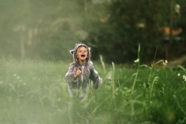 Peter and The Wolf Photo