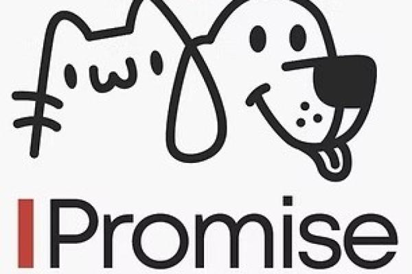Share this event Promote Suggest Edit Flag Event Promote Bookmark Embed I Promise: An Original Musical by Beth Frack Photo