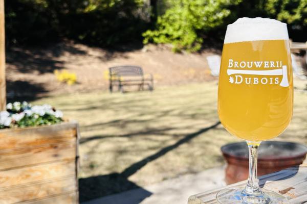 Saison Day 2025 Photo