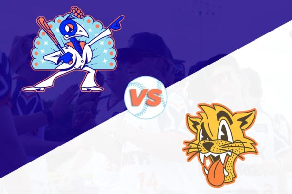 Carolina Disco Turkeys Vs Uwharrie Wampus Cats Photo
