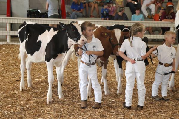 Carolina Classic Fair 2025 Photo 3