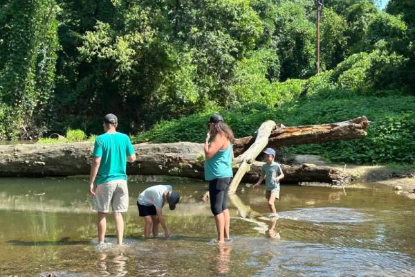Creek Stomp Photo