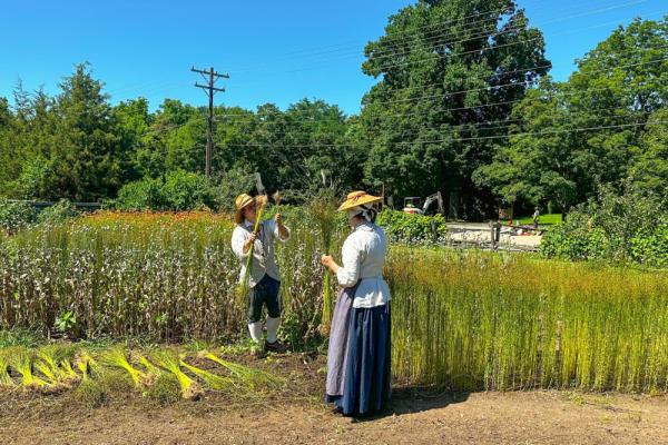 Garden Speaker Series #2: Moravian Botanists and Plant Collectors Photo