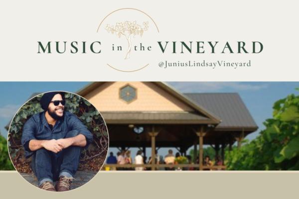 Music in the Vineyard: Mike Coia Photo
