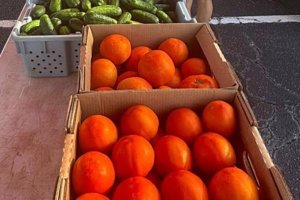 Clemmons Farmers Market Photo