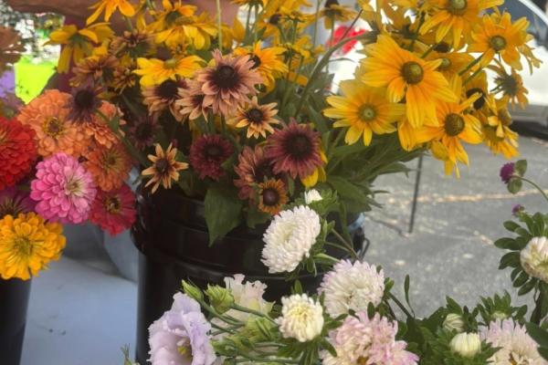 Clemmons Farmers Market Photo 3