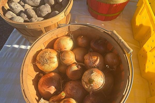 Clemmons Farmers Market Photo 5