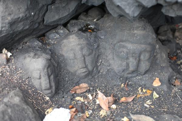 The Living Landscape of the Ancient Maya Photo