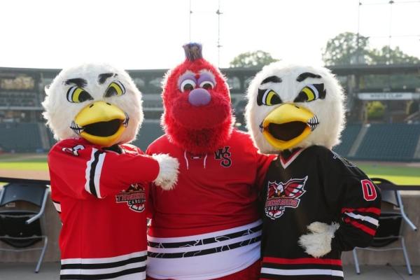 Hockey Night ft. Carolina Thunderbirds Photo