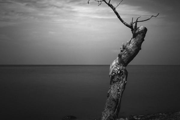 Photo by Ready Rey on Unsplash Photo