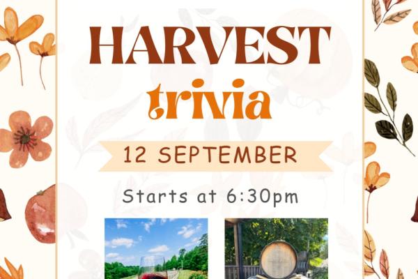 Trivia Night at Medaloni Cellars Photo