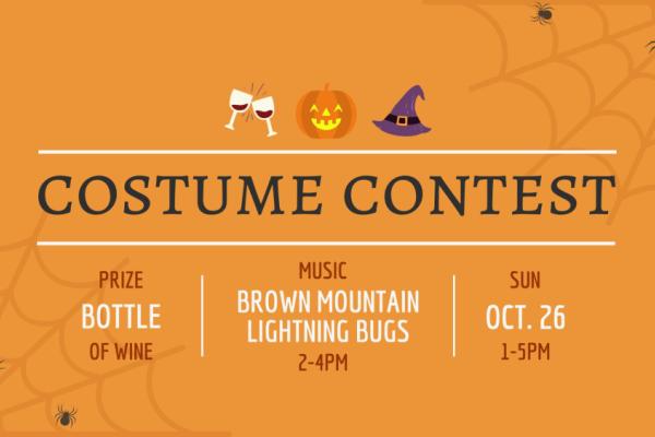 JLV Costume Contest with The Brown Mountain Lightning Bugs Photo