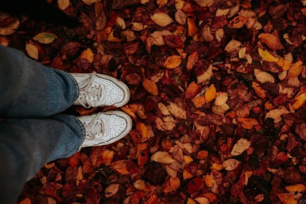 Photo by Negley Stockman on Unsplash Photo
