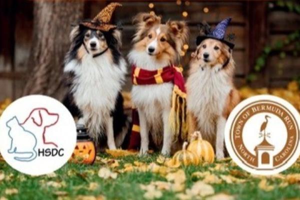 Blue Heron Trail Dog Stroll & Fall Festival | Town of Bermuda Run Photo