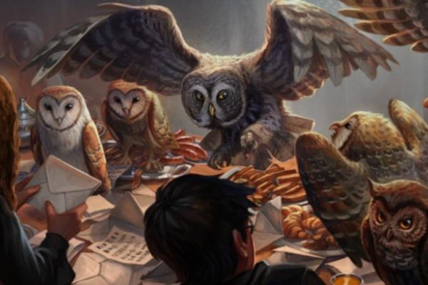 11th Anniversary Party w/ a dash of Harry Potter! Photo