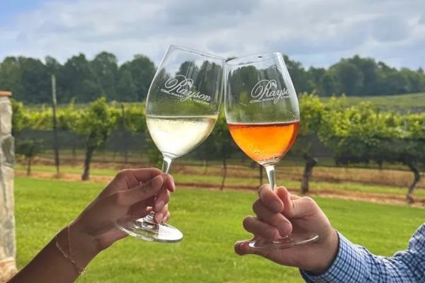 Thirsty Thursday: Wine Experience Photo