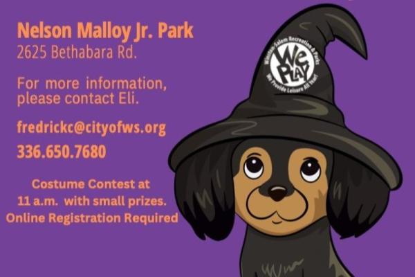 Coffee and Collars: Halloween Costume Contest (Pet Edition) Photo