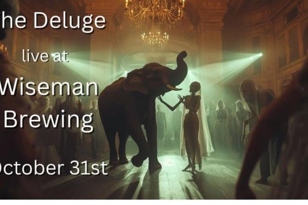 The Deluge live at Wiseman Photo