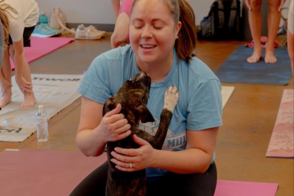 Down Dogs & Dogs Yoga Photo 2