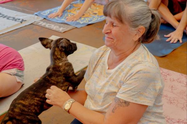 Down Dogs & Dogs Yoga Photo 3