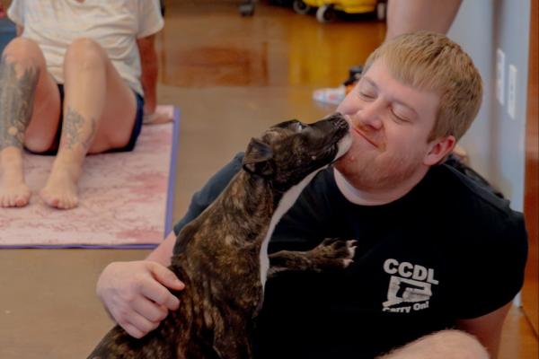 Down Dogs & Dogs Yoga Photo 4
