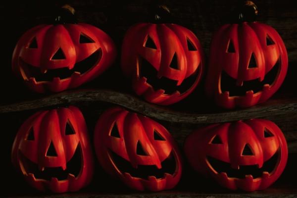 Photo by MARIOLA GROBELSKA on Unsplash Photo