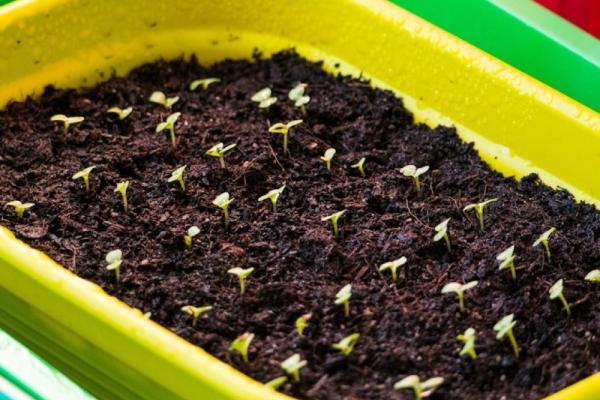 Photo by Verstappen Photography on Unsplash Photo