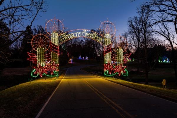 Tanglewood Festival of Lights Photo