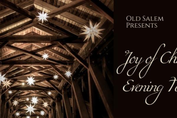 Joy of Christmas evening tours Photo