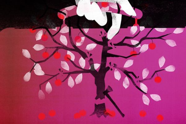 The Cherry Orchard Photo