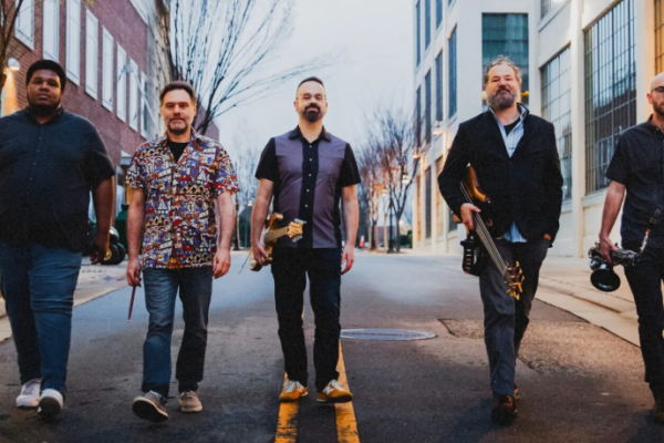 Ears To The Ground Photo