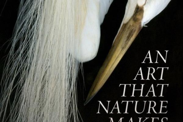 An Art That Nature Makes: The Work of Rosamond Purcell Photo