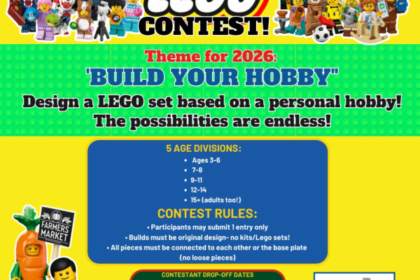LEGO Contest Photo