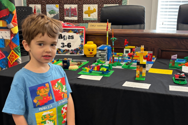 LEGO Contest Photo 3