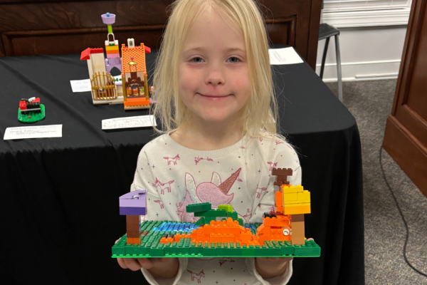 LEGO Contest Photo 4