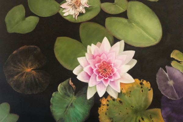 "Nature's Rhapsody", Paintings by Dean Roland Johnson Photo 2