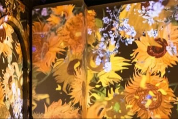 Van Gogh: The Immersive Experience Photo