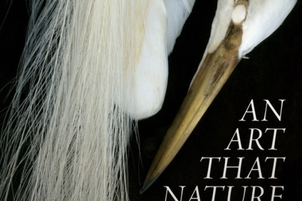 An Art That Nature Makes: The Work of Rosamond Purcell Photo