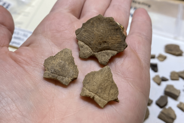 Lunch & Learn: Attending Feasts, Attending Fish Photo