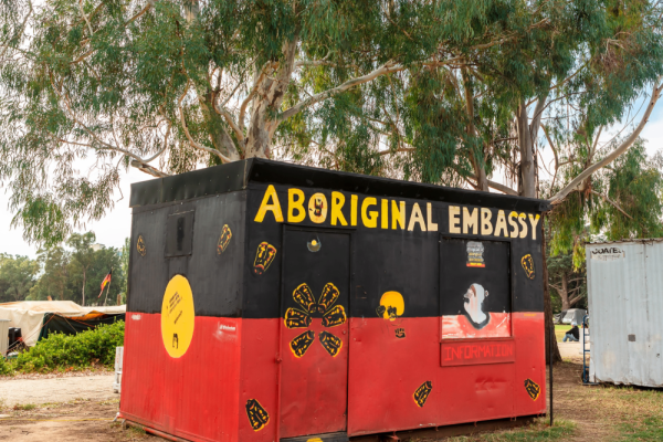 Repatriation and Representation: Aboriginal Politics in Australia Photo
