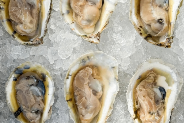 Valentine's Oyster and Roar & Pour Mimosa Festival, Photo 2