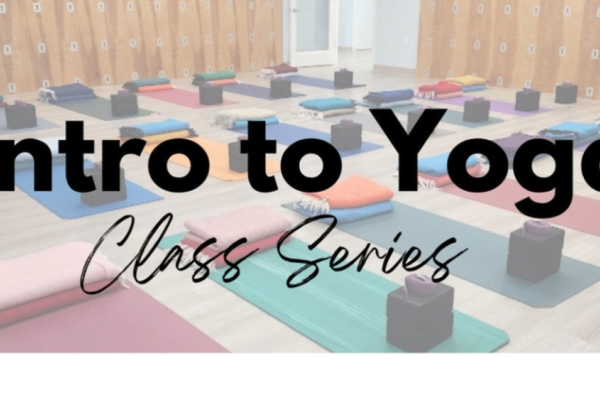Intro to Yoga Series Photo