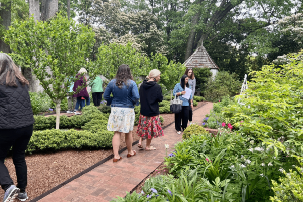 In Full Bloom: Tour of Gardens Reimagined, Reinvigorated, Renewed Photo 2