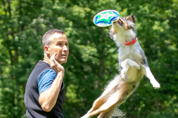 UpDog International Finals at Tanglewood Photo