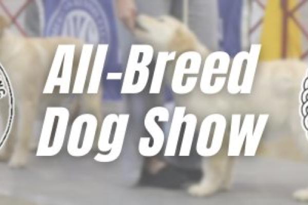 Danville and Forsyth Kennel Clubs All-Breed Dog Show Photo